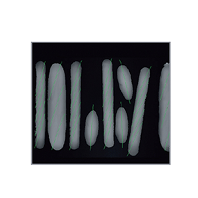 Type de pain identifié par caméra (laser)